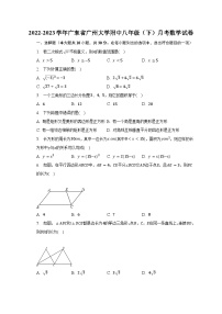 2022-2023学年广东省广州大学附中八年级（下）月考数学试卷（含解析）