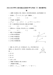 +上海市嘉定区迎园中学2022-2023学年七年级下学期期末数学试卷+