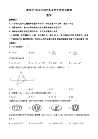 2020年中考真题精品解析 数学（湖南娄底卷）精编word版