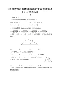 四川省成都市武侯区棕北中学西区实验学校2023-2024学年上学期九年级开学数学试卷