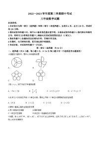 陕西省宝鸡市高新区2022-2023年学八年级下学期期中数学试题