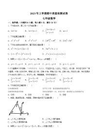 湖南省岳阳市2022-2023学年七年级下学期期中数学试题