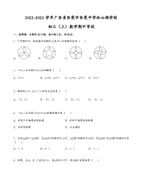 2022广东省东莞市东莞中学松山湖学校九年级（上）数学期中考试试卷（原卷版）