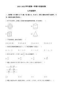 山东省济南市槐荫区2021-2022学年九年级上学期期中数学试题