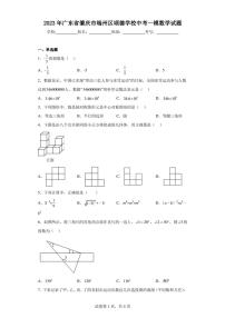 2023年广东省肇庆市端州区颂德学校中考一模数学试题