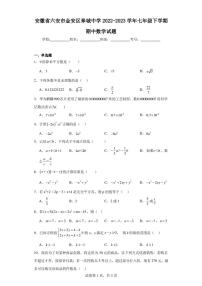 安徽省六安市金安区皋城中学2022-2023学年七年级下学期期中数学试题