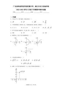 广东省岭南师范学院附属中学、湛江市东方实验学校2022-2023学年八年级下学期期中数学试题