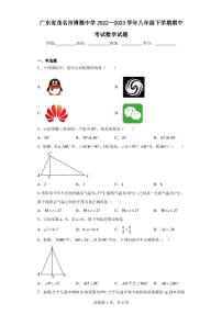 广东省茂名市博雅中学2022—2023学年八年级下学期期中考试数学试题