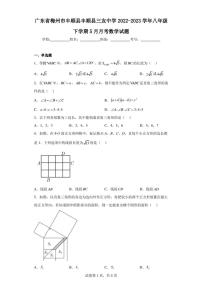 广东省梅州市丰顺县丰顺县三友中学2022-2023学年八年级下学期5月月考数学试题