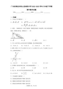 广东省清远市阳山县南阳中学2022-2023学年八年级下学期期中数学试题