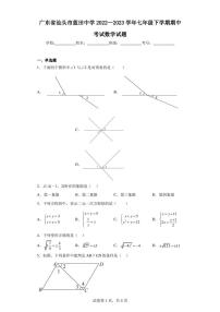 广东省汕头市蓝田中学2022—2023学年七年级下学期期中考试数学试题