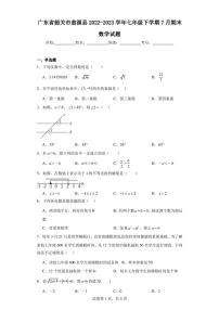 广东省韶关市翁源县2022-2023学年七年级下学期7月期末数学试题