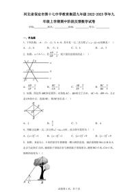 河北省保定市第十七中学教育集团九年级2022-2023学年九年级上学期期中阶段反馈数学试卷