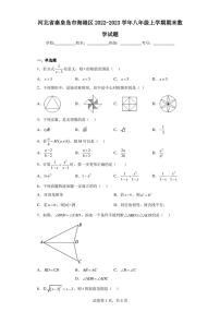 河北省秦皇岛市海港区2022-2023学年八年级上学期期末数学试题