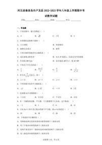 河北省秦皇岛市卢龙县2022-2023学年八年级上学期期中考试数学试题