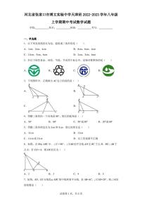 河北省张家口市博文实验中学天津班2022-2023学年八年级上学期期中考试数学试题