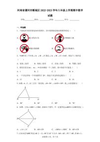 河南省漯河市郾城区2022-2023学年八年级上学期期中数学试题