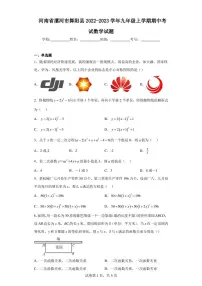 河南省漯河市舞阳县2022-2023学年九年级上学期期中考试数学试题