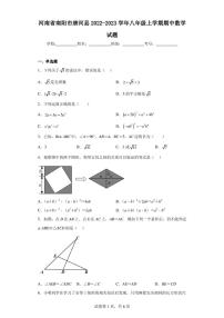 河南省南阳市唐河县2022-2023学年八年级上学期期中数学试题