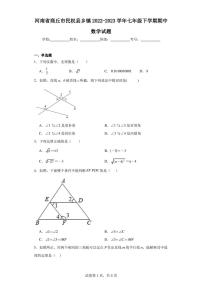 河南省商丘市民权县乡镇2022-2023学年七年级下学期期中数学试题