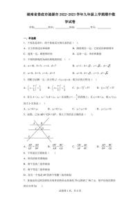 湖南省娄底市涟源市2022-2023学年九年级上学期期中数学试卷