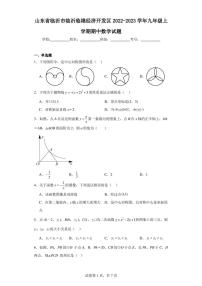 山东省临沂市临沂临港经济开发区2022-2023学年九年级上学期期中数学试题