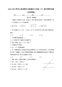 山东省泰安市肥城市2022-2023学年下学期七年级期中数学试卷（五四学制）+