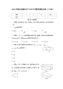 湖北省随州市广水市2023届九年级下学期中考模拟（3月份）数学试卷(含解析)