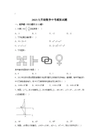 山东省德州市德城区2023届九年级下学期中考三模数学试卷(含答案)