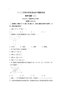 山东省聊城市阳谷县2023届九年级下学期学业水平模拟考试（三）数学试卷(含解析)