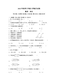 湖南省长沙市北雅中学2023-2024学年八年级上学期入学考试数学试题