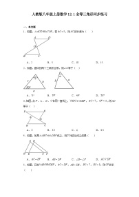 初中数学12.1 全等三角形同步达标检测题