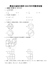 黑龙江省哈尔滨市2023年中考数学试卷附答案