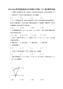 2022-2023学年陕西省延安市宝塔区七年级（下）期末数学试卷（含解析）