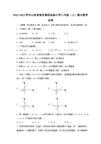 2022-2023学年山东省青岛第四实验中学八年级（上）期末数学试卷（含解析）