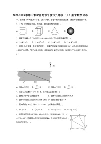 2022-2023学年山东省青岛市平度市九年级（上）期末数学试卷（含解析）