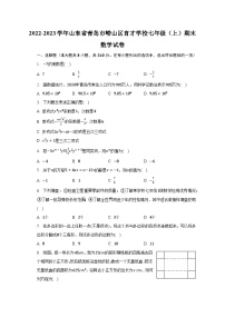 2022-2023学年山东省青岛市崂山区育才学校七年级（上）期末数学试卷（含解析）