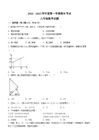 安徽省池州市2022-2023学年八年级下学期开学考试数学试题