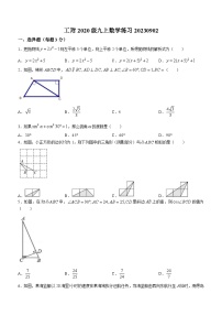 黑龙江省哈尔滨工业大学附属中学校2023-2024学年九年级上学期开学考试数学试题(无答案)