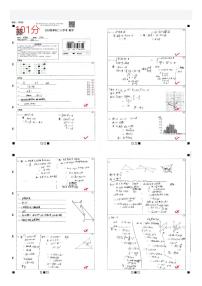 2023师大附中集团八年级假期作业检测考试数学试卷