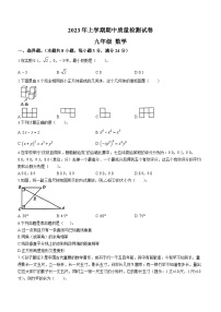 湖南省岳阳市第七中学2022-2023学年九年级下学期期中数学试题