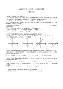 湖南省长沙市北雅中学2023-2024学年九年级上学期入学考试数学试题+