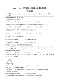 吉林省长春市农安县2022-2023学年八年级下学期期末数学试题