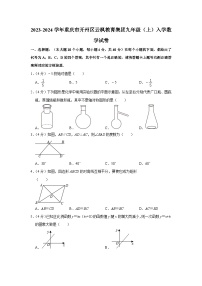 重庆市开州区云枫教育集团2023-2024学年九年级上学期入学数学试卷（含答案）