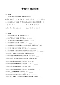 2023-2024年中考专题03 因式分解（原卷版+解析卷）