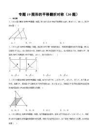 2023-2024年中考专题19 图形的平移翻折对称（共30题）（原卷版+解析卷）