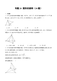 2023-2024年中考专题20 图形的旋转（共30题）（原卷版+解析卷）