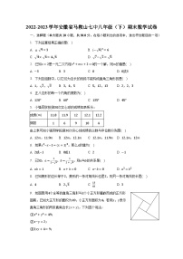 2022-2023学年安徽省马鞍山七中八年级（下）期末数学试卷（含解析）