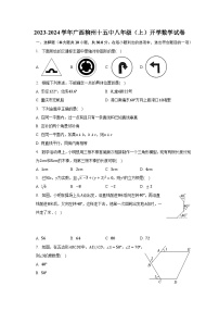 2023-2024学年广西柳州十五中八年级（上）开学数学试卷（含解析）