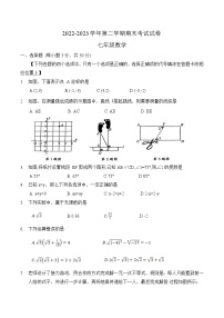 河南省濮阳市2022-2023学年七年级下学期期末考试数学试卷(含答案)